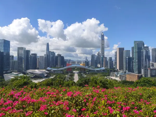 风景